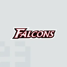 Atlanta falcons 1